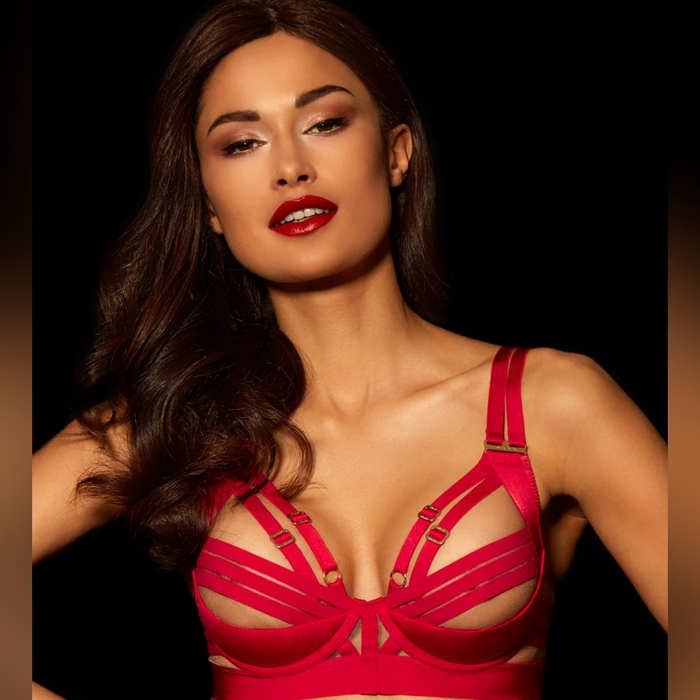NWT Honey Birdette Linda bra. Never worn or tried on